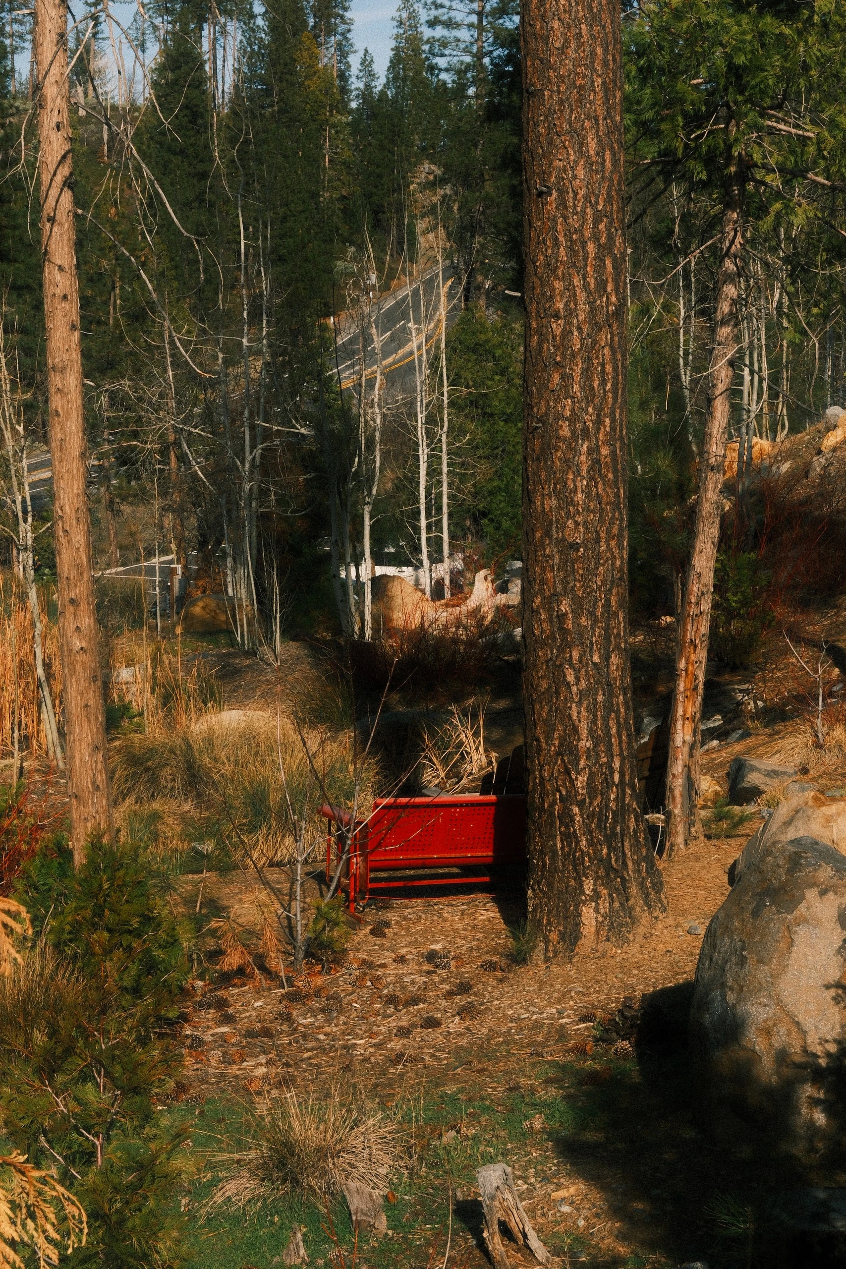 Yosemite Lodge